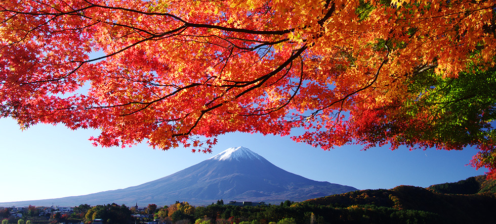 富士山写真集 富士レークホテル 公式サイト 富士山写真集 富士レークホテル 公式サイト