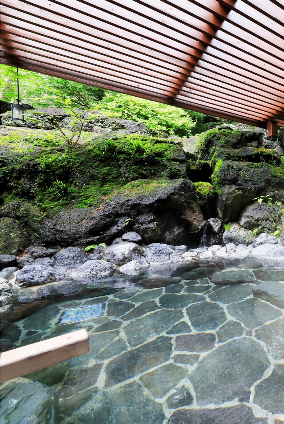 河口湖と富士山が望めるホテル 富士レークホテル【公式】