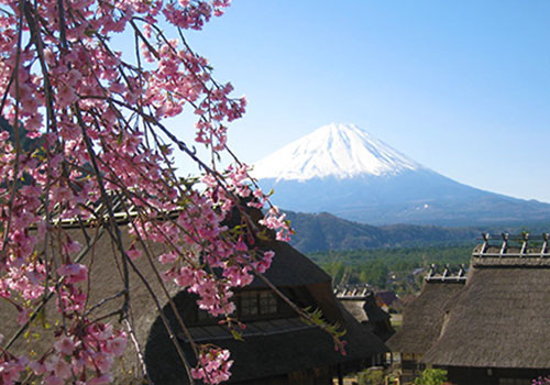 西湖いやしの里根場