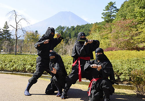 忍野 しのびの里