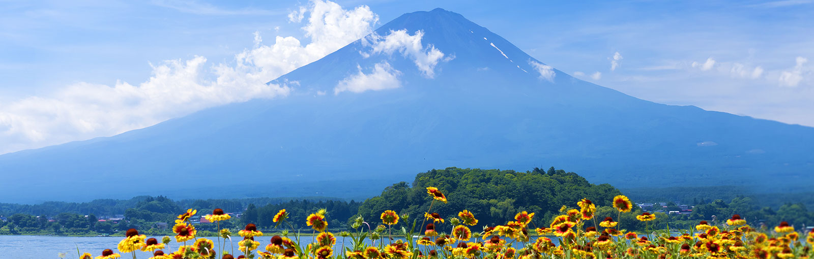 夏のおすすめスポット